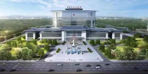 南阳张仲景国医药大学新校区正式开工