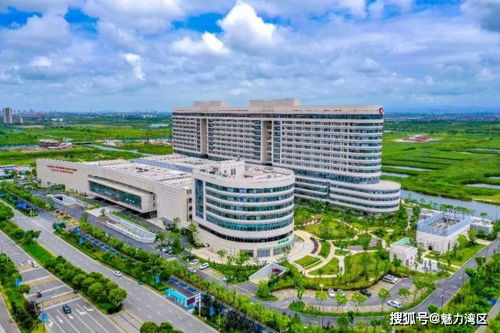 杭州湾新区近些年的发展成果