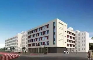 淄博中心城区公办幼儿园与中小学建设新进展及上海杨浦区中原新江湾敬老院亮点