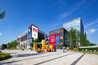 悠方元旦三连趣 敢动敢挑战，敬老爱老暖杨浦